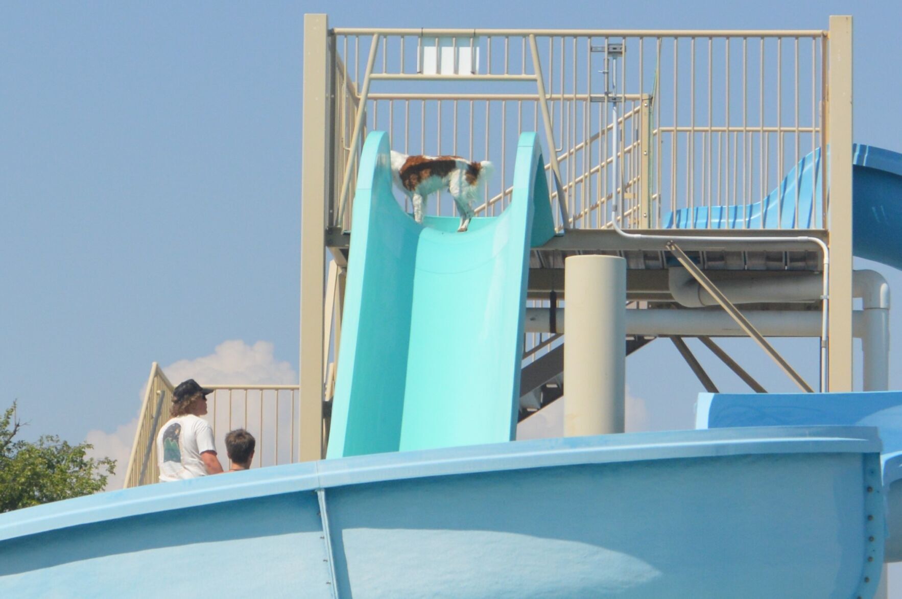 Patas en la piscina 2022